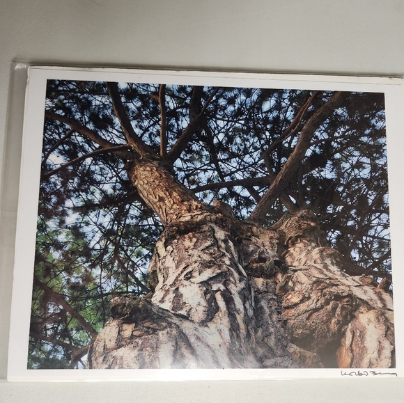 Korbin Berg Mount Horeb, WI Fine Art Photographer/Nature Print 8.5x11" - Picture 4 of 5